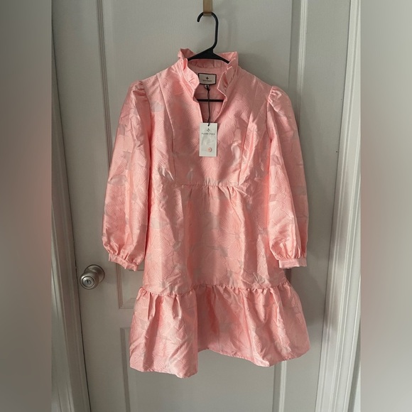 Tuckernuck Palmerston Bellini Pink Coupé Jacquard Puff Sleeve Mini Dress L - Picture 3 of 8